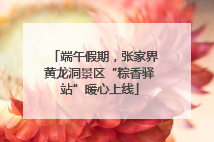 端午假期，张家界黄龙洞景区“粽香驿站”暖心上线