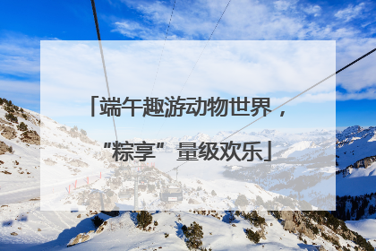 端午趣游动物世界，“粽享”量级欢乐