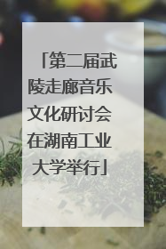第二届武陵走廊音乐文化研讨会在湖南工业大学举行