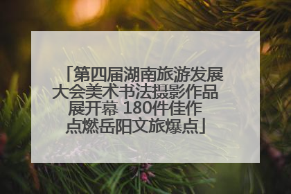 第四届湖南旅游发展大会美术书法摄影作品展开幕 180件佳作点燃岳阳文旅爆点