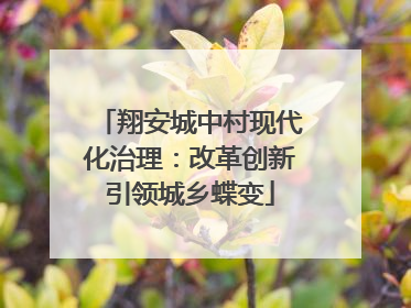 翔安城中村现代化治理：改革创新引领城乡蝶变