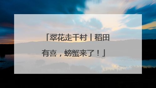 翠花走千村丨稻田有喜，螃蟹来了！