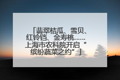 翡翠桔瓜、雪贝、红铃铛、金寿桃……上海市农科院开启“缤纷蔬菜之约”