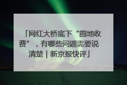 网红大桥底下“圈地收费”，有哪些问题需要说清楚｜新京报快评