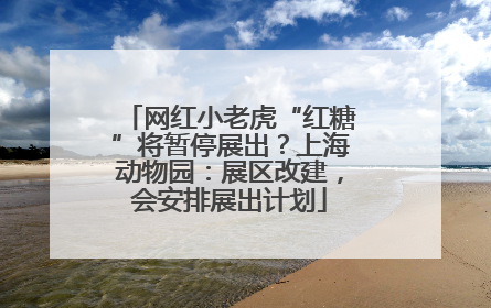 网红小老虎“红糖”将暂停展出？上海动物园：展区改建，会安排展出计划