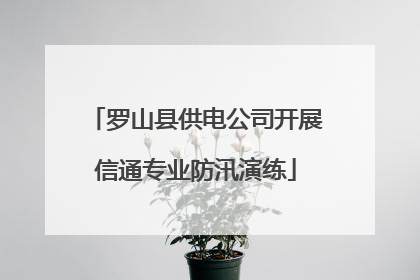 罗山县供电公司开展信通专业防汛演练