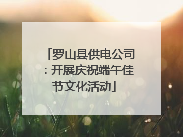 罗山县供电公司：开展庆祝端午佳节文化活动