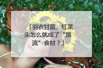 羽衣甘蓝、红菜头怎么就成了“顶流”食材？