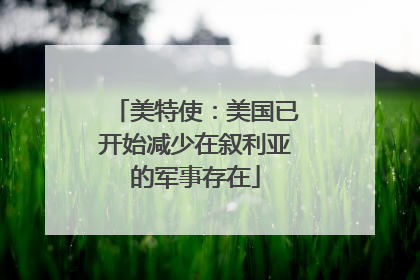 美特使：美国已开始减少在叙利亚的军事存在