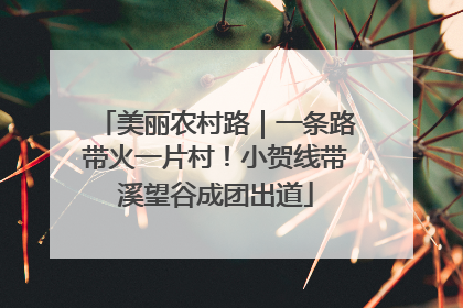 美丽农村路｜一条路带火一片村！小贺线带溪望谷成团出道
