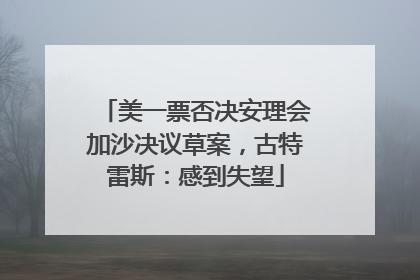 美一票否决安理会加沙决议草案，古特雷斯：感到失望