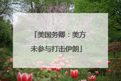 美国务卿：美方未参与打击伊朗