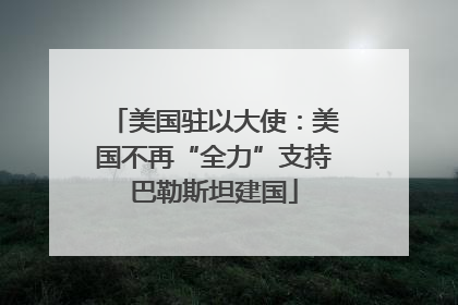 美国驻以大使：美国不再“全力”支持巴勒斯坦建国