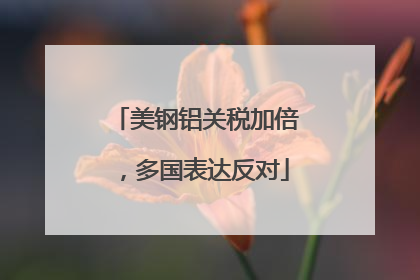 美钢铝关税加倍，多国表达反对