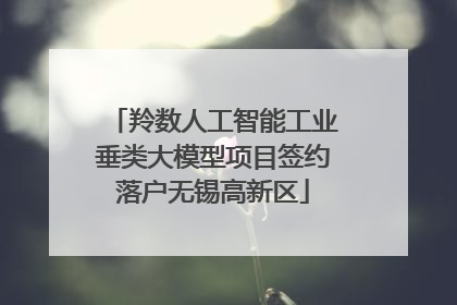 羚数人工智能工业垂类大模型项目签约落户无锡高新区