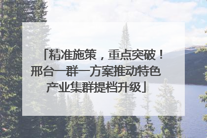 精准施策，重点突破！邢台一群一方案推动特色产业集群提档升级