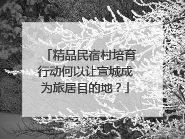 精品民宿村培育行动何以让宣城成为旅居目的地？