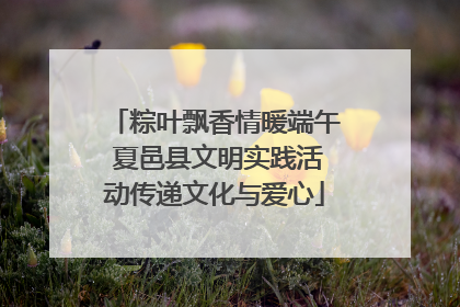 粽叶飘香情暖端午 夏邑县文明实践活动传递文化与爱心