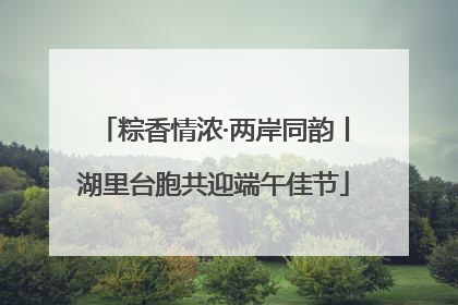 粽香情浓·两岸同韵丨湖里台胞共迎端午佳节