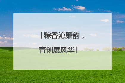 粽香沁廉韵，青创展风华