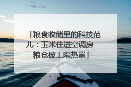 粮食收储里的科技范儿：玉米住进空调房 粮仓披上隔热罩