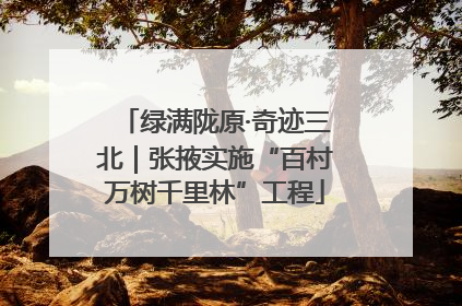 绿满陇原·奇迹三北｜张掖实施“百村万树千里林”工程