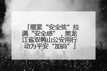 绷紧“安全弦”拉满“安全感”，黑龙江省双鸭山公安用行动为平安“加码”