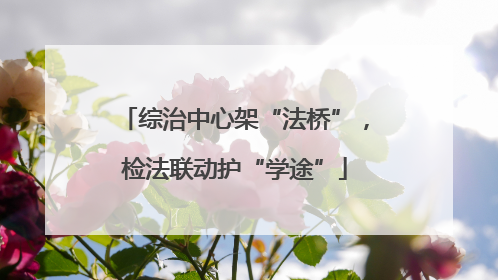 综治中心架“法桥”，检法联动护“学途”