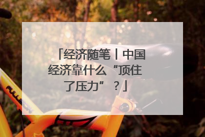 经济随笔丨中国经济靠什么“顶住了压力”？