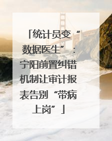 统计员变“数据医生”：宁阳前置纠错机制让审计报表告别“带病上岗”
