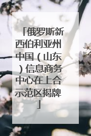 俄罗斯新西伯利亚州中国（山东）信息商务中心在上合示范区揭牌