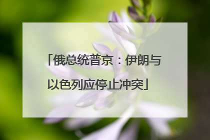 俄总统普京：伊朗与以色列应停止冲突