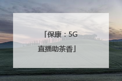 保康：5G直播助茶香
