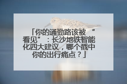 你的通勤路该被 “看见”：长沙地铁智能化四大建议，哪个戳中你的出行痛点？