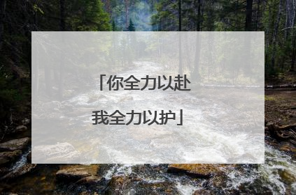 你全力以赴 我全力以护
