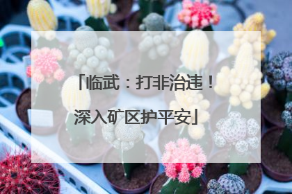 临武：打非治违！深入矿区护平安
