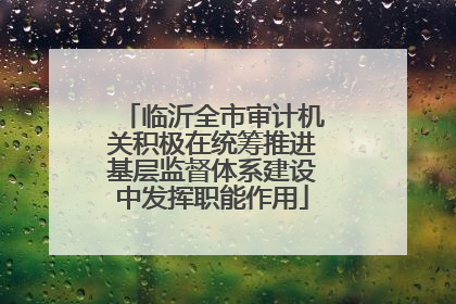 临沂全市审计机关积极在统筹推进基层监督体系建设中发挥职能作用