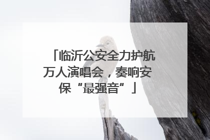 临沂公安全力护航万人演唱会，奏响安保“最强音”