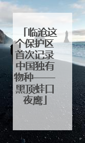 临沧这个保护区首次记录中国独有物种——黑顶蛙口夜鹰