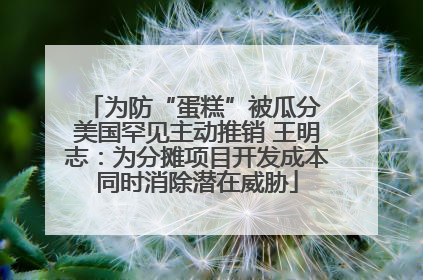为防“蛋糕”被瓜分 美国罕见主动推销 王明志：为分摊项目开发成本同时消除潜在威胁