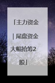 主力资金｜尾盘资金大幅抢筹2股