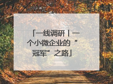 一线调研丨一个小微企业的“冠军”之路