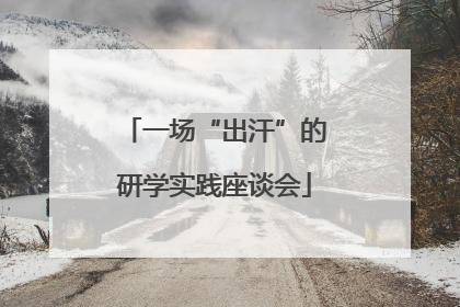一场“出汗”的研学实践座谈会