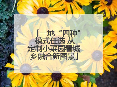 一地“四种” 模式任选 从定制小菜园看城乡融合新图景