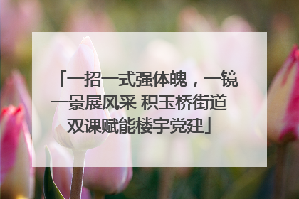 一招一式强体魄，一镜一景展风采 积玉桥街道双课赋能楼宇党建
