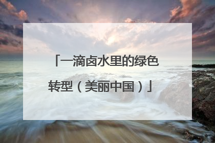 一滴卤水里的绿色转型（美丽中国）
