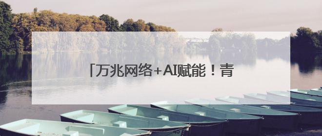 万兆网络+AI赋能！青海迈入“双万兆”时代