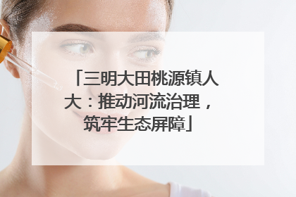 三明大田桃源镇人大：推动河流治理，筑牢生态屏障