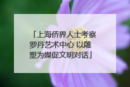 上海侨界人士考察罗丹艺术中心 以雕塑为媒促文明对话