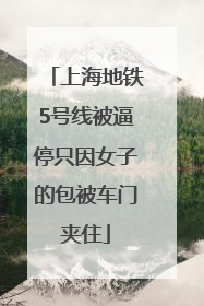 上海地铁5号线被逼停只因女子的包被车门夹住